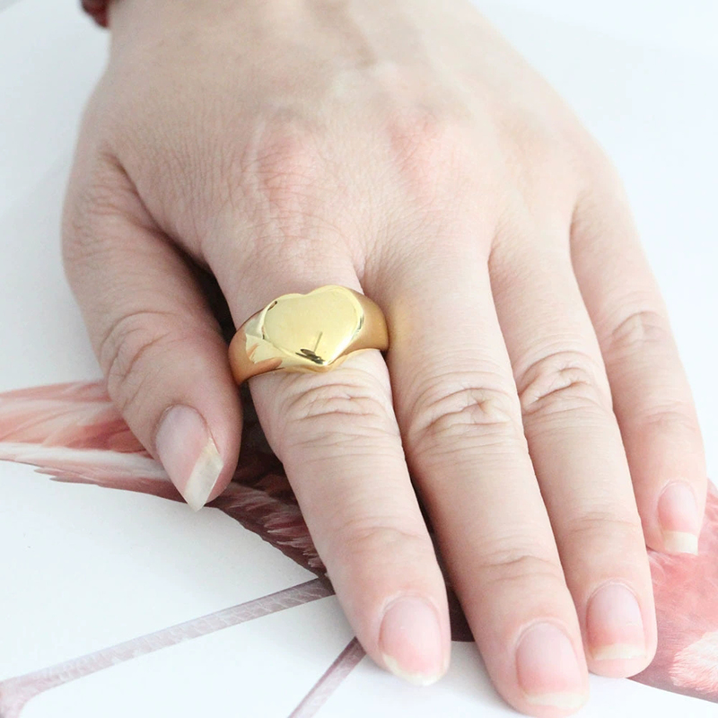 365 Stainless Steel Punk Rock  - огляд і ціна Initial Ring Custom